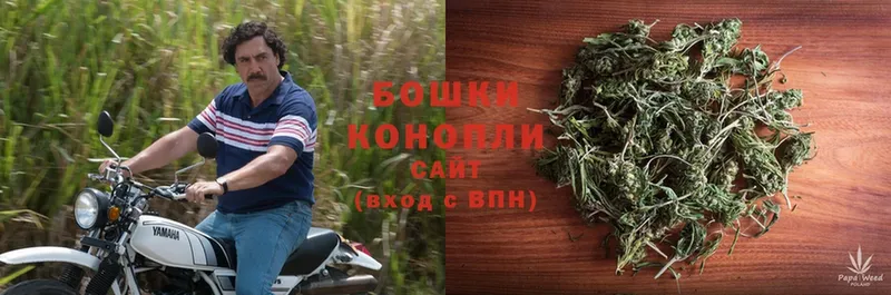 Каннабис OG Kush  Рыбное 